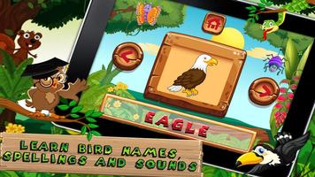 Which Bird - Kids e-learning Cartaz