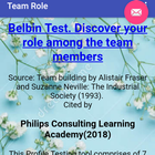 Personality Tester in Team Role icône