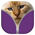 Cats Zipper Lock Screen biểu tượng