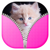 Cute Kitty Zipper Lock Screen icône