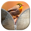Birds Zipper Lock Screen