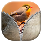 Birds Zipper Lock Screen icon