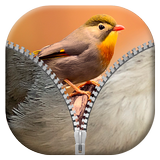 Birds Zipper Lock Screen ikon