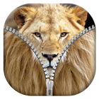 Lion  Zipper Verrouillage icône