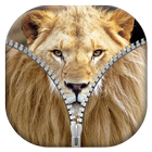 Lion Zipper Lock Screen icono