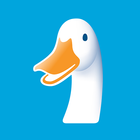 Duckchat icône