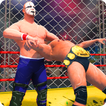 Wrestling Cage Mania - Free Wrestling Games : 2K18