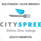 City-Spree Delivery MS/TN icône