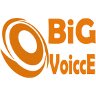 BigVoicce ícone