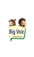 Big Voiz 海报