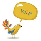 Bigvoize.co आइकन