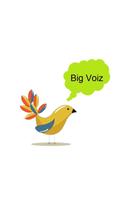 Big Voiz Dialer Plakat