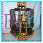 Luxurious and Unique Bird Cages Design icon