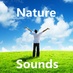 Enjor Nature Sounds