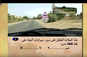permis de conduire maroc poster