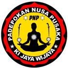 PNP Online иконка