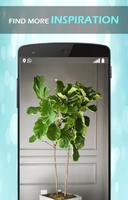 Office Plant Ideas постер