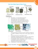 Bio Class 9 screenshot 3