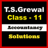 Account Class-11 Solutions (TS 图标