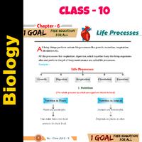 10th Class Biology plakat