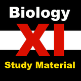 ikon Bio-XI