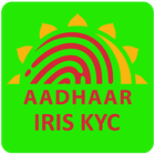 Biometronic Aadhaar eKyc icône