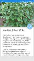 Manfaat Daun Afrika 截图 2