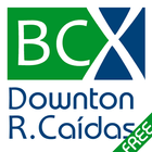 BCX DOWNTON RIESGO DE CAÍDAS 图标