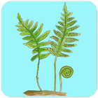 ArtsApp Karsporeplanter icono