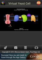 2 Schermata Virtual Yeast Cell