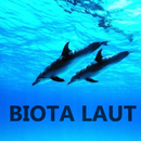 COLLECTION OF MARINE ANIMALS APK