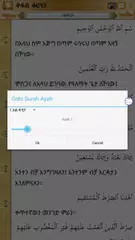 AMHARIC QURAN PRO APK download