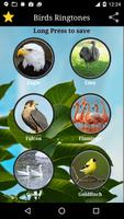 Birds Sounds ภาพหน้าจอ 1