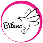 Bilanc icon