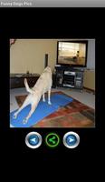 برنامه‌نما Funny pics dogs عکس از صفحه