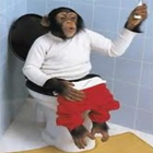 Funny pics monkeys ikona