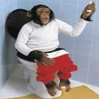 बंदरों के मजेदार चित्र आइकन
