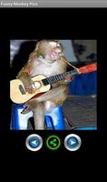 बंदरों के मजेदार चित्र स्क्रीनशॉट 2