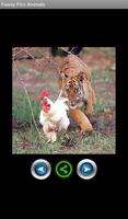 Funny pics animals screenshot 2