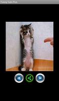 برنامه‌نما Funny pics cats عکس از صفحه
