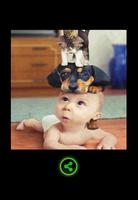 Poster Funny pictures !!!!