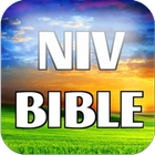 New International Version NIV icône