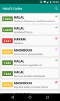 Halal E-Numbers Affiche