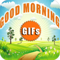 Good Morning GIFs
