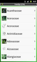 Key: Plant Families Ekran Görüntüsü 1