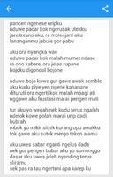 Lirik NDX A-K-A Hip Hop Jawa 스크린샷 3