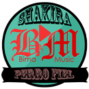 Shakira Song & Lyrick (Mp3) APK