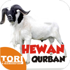 Hewan Qurban Idul Adha icono
