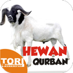 Hewan Qurban Idul Adha