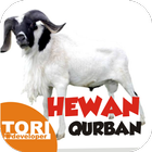 Hewan Qurban Idul Adha icône